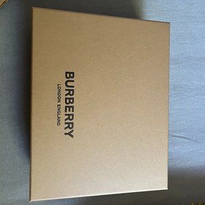 Burberry Handbag Box and Bag (brown)